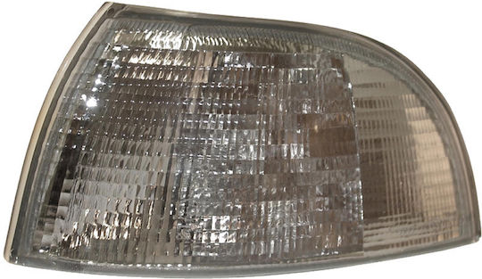 Flash for Fiat Punto