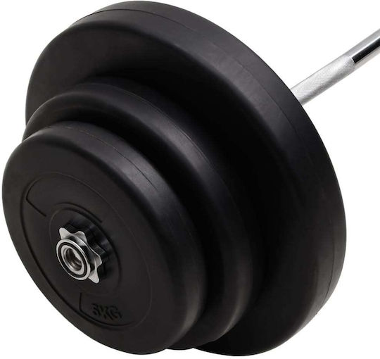 vidaXL ​Στραβόμπαρα Φ25mm Σετ με Βάρη 60kg Μήκους 120cm χωρίς Κολάρα