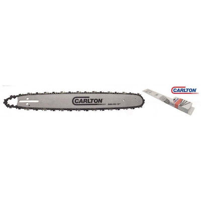 Carlton 10-10-N140-RK Chainsaw Blade Chainsaw Blade Set with Chain 25cm with Pitch 3/8"LP, Guide Bar Thickness .050"-1.3mm & Number of Drivers 40E