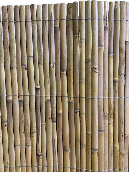 Showood Καλαμωτή με Μισό Καλάμι 2x5m
