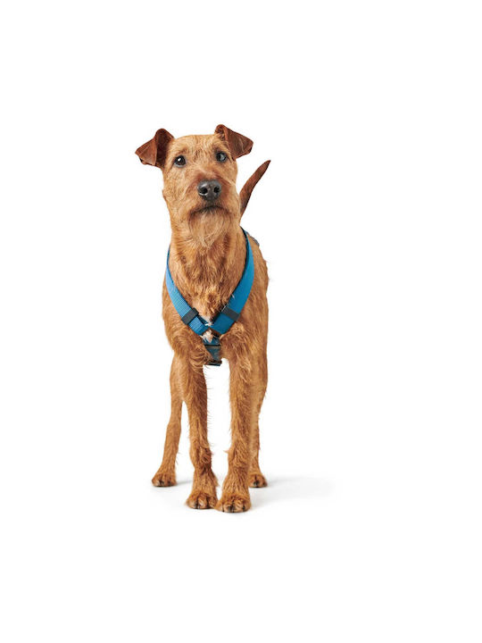 Hunter Dog Harness London Vario Rapid Blue XX-Small 22-36cm 013471