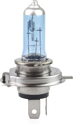 AMiO Lampen Auto H4 / P43T Halogen Kaltes Weiß 12V 1Stück