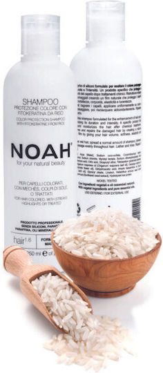 Noah for Beauty Color Save Σαμπουάν Αναδόμησης/Θρέψης & Διατήρησης Χρώματος για Βαμμένα Μαλλιά 250ml