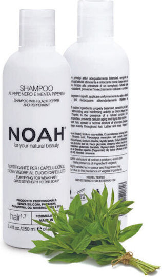 Noah for Beauty Σαμπουάν Αναδόμησης/Θρέψης για Εύθραυστα Μαλλιά 250ml