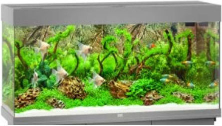 Juwel Rio 240 Ενυδρείο Ψαριών Χωρητικότητας 240lt με Φωτισμό, Θερμαντήρα, Κυκλοφορητή, Φίλτρο 121x41x55εκ. Γκρι
