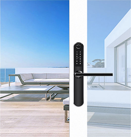 Liliwise Elektronisches Schloss S31B in Farbe Gray mit Verbindung Bluetooth