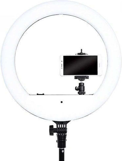 YQ-480B Ring Light 46cm 3000 - 6500K with Floor Tripod and Mobile Phone Holder