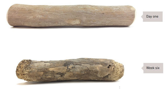 Pet's Up Good Wood Wooden Bone for Dogs Small 100gr