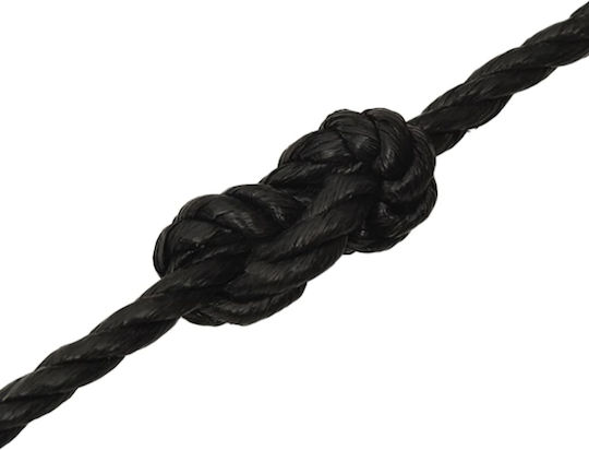 vidaXL Rope with Diameter 16mm and Length 250m Black Working Rope 16mm 250m from Polypropylene