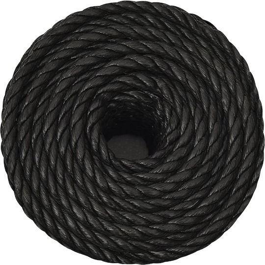 vidaXL Rope with Diameter 16mm and Length 250m Black Working Rope 16mm 250m from Polypropylene