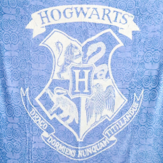 Warner Bros Blanket Fleece Harry Potter Coral 130x170cm