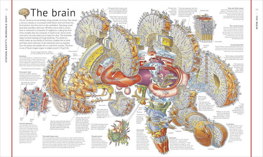 Stephen Biesty's Incredible Body Cross-Sections