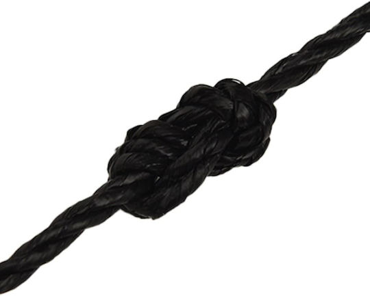 vidaXL Rope with Diameter 8mm and Length 250m Rope Black 8mm 50m