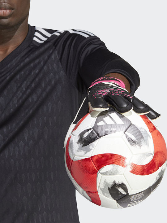 adidas Predator Match Torwarthandschuhe Erwachsene Schwarz