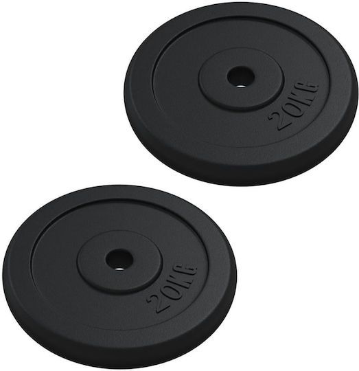 vidaXL Σετ Δίσκοι Μεταλλικοί 2 x 20kg Φ30mm
