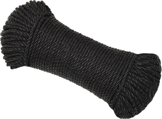 vidaXL Rope Diameter 6mm Length 100m Black Work Rope Black 6mm 100m Polypropylene