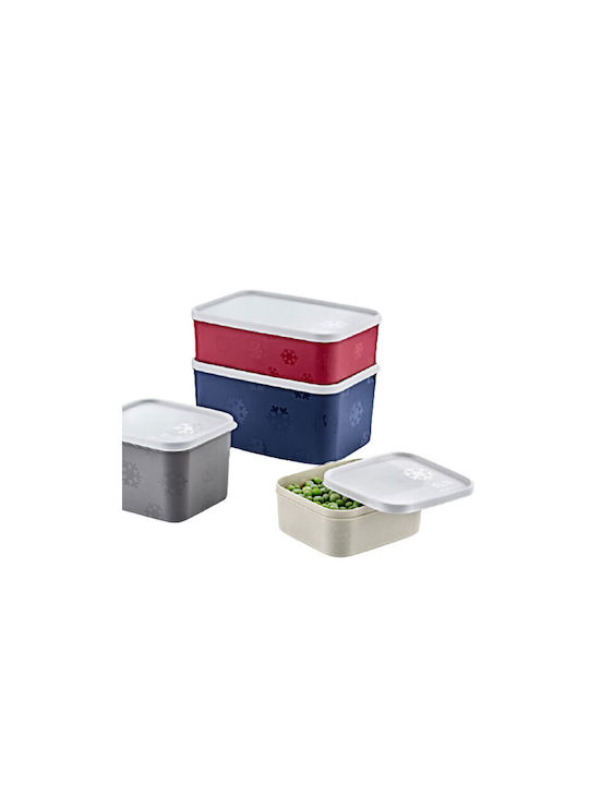 Homeplus Lunchbox Kunststoff Grey 2600ml 1Stück