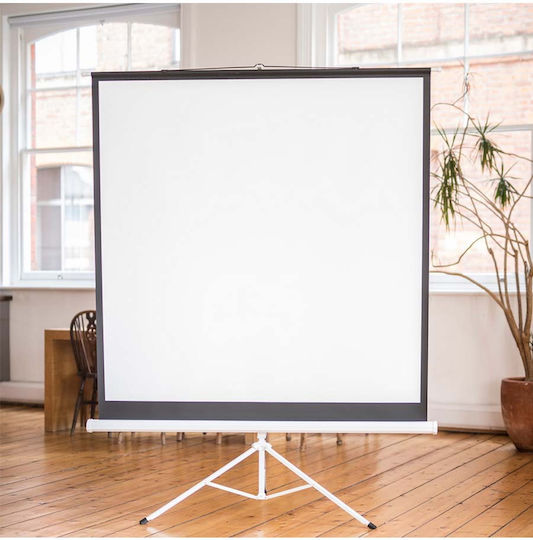 AvLink 200x150cm