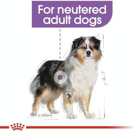 Royal Canin Medium Sterilised 12kg Dry Food Gluten-Free for Adult Neutered Medium Breed Dogs with Poultry