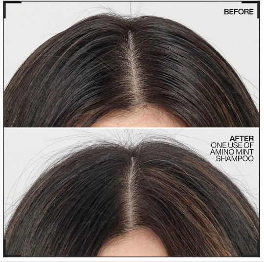 Redken Retail Amino-Mint Scalp Σαμπουάν για το Ευαίσθητο Τριχωτό για Όλους τους Τύπους Μαλλιών 300ml