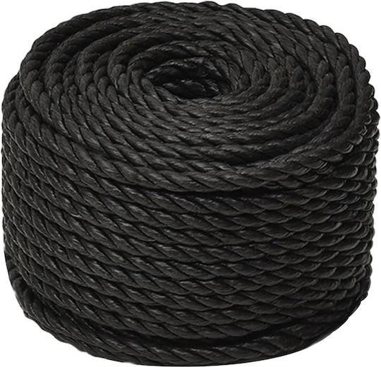 vidaXL Rope with Diameter 12mm and Length 100m Rope Black 12mm 100m Polypropylene 153018