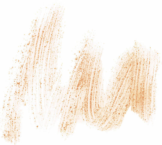 Diego Dalla Palma Renew My Lips Scrub Χειλιών 25ml
