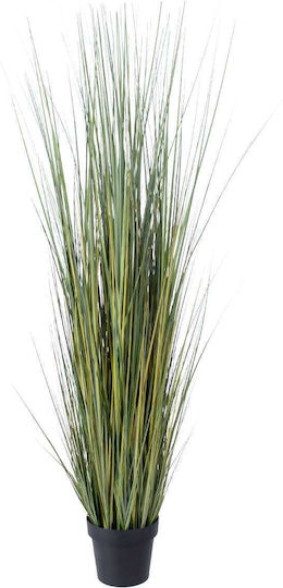 Pampas Grass in a Potted Plant GloboStar Pampas Grass in a Potted Plant GloboStar