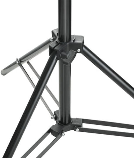 vidaXL Set Lights And Background Lighting Kit for Studio