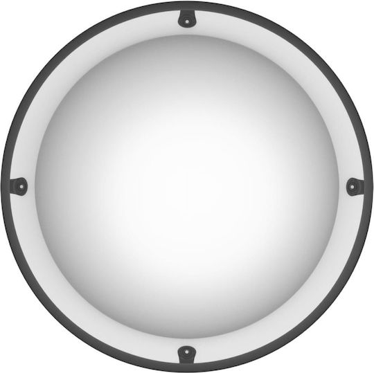 vidaXL Oglindă de circulație 30cm