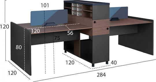 Professional Desk with Bookcase 284x120x120cm Brown