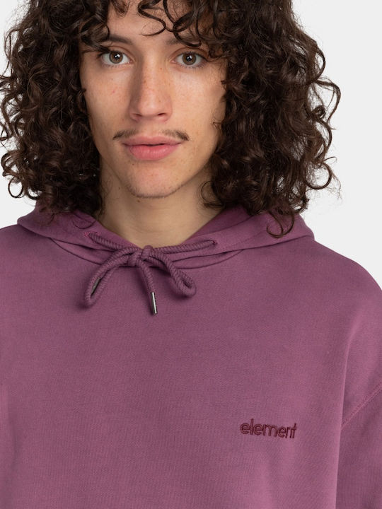 Cornell 3.0 Sweatshirt with Hood Purple