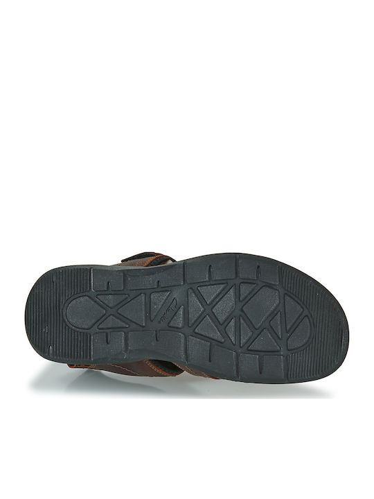 Walkford Fish Men's Sandals Brown