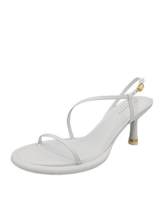 Ted Baker