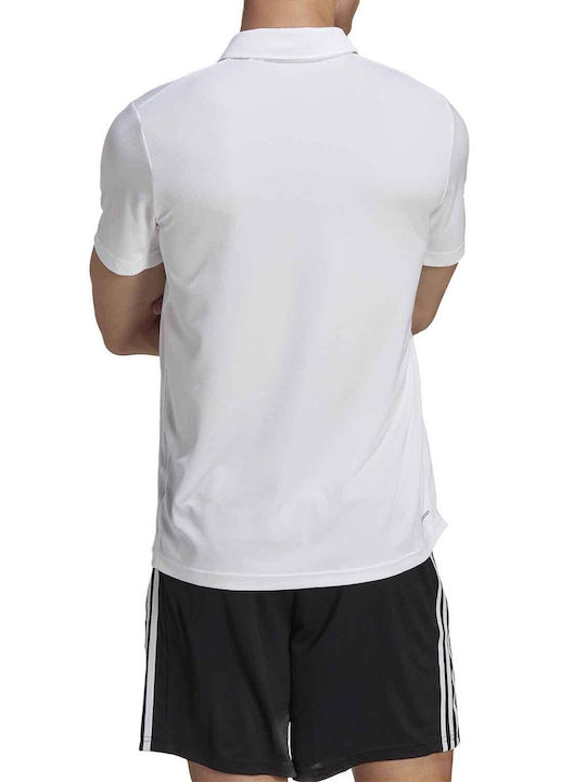 Adidas Performance Train Essentials Bluza Sportivă pentru Bărbați cu Mânecă Scurtă Polo Albă