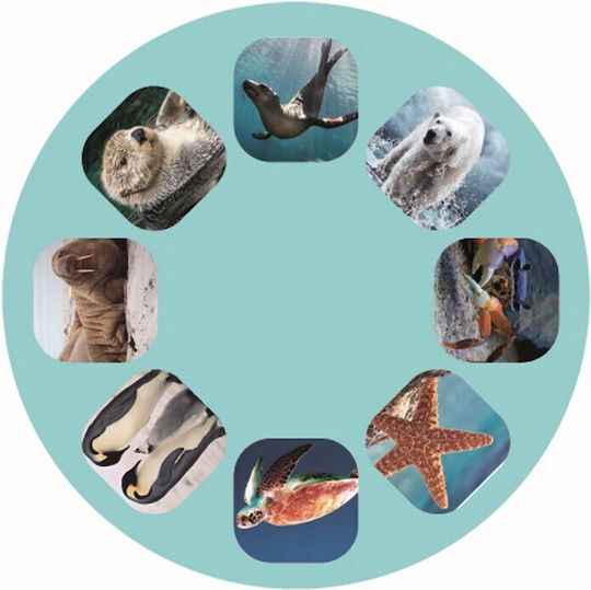 Moses Story Projector - Sea Animals Geschichtenprojektor für 3+ Jahre alt Jahre