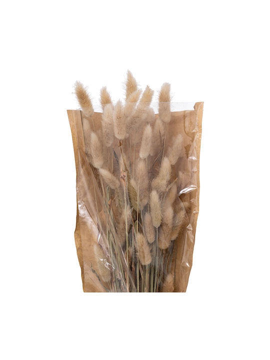 Μπουκέτο από Bunny Tails Μπεζ