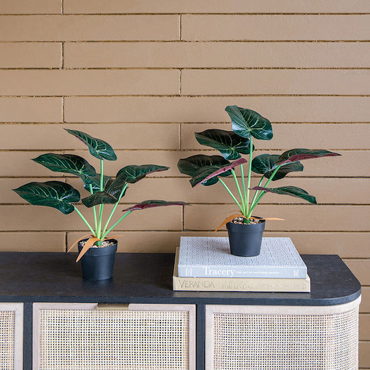 Изкуствено растение в саксийка Alocasia Green 35см 2бр Artekko