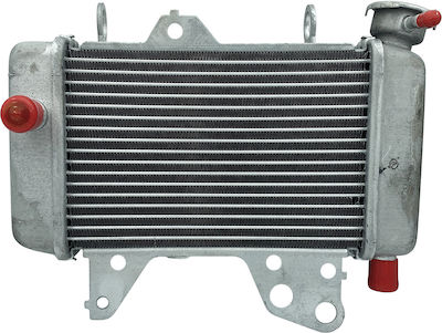 Tobaki Engine Radiator for Honda GTR 150 516-RD04