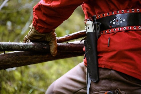 Morakniv Wit Blackblade Messer Ash Holz mit Leder-Gehäuse (S)