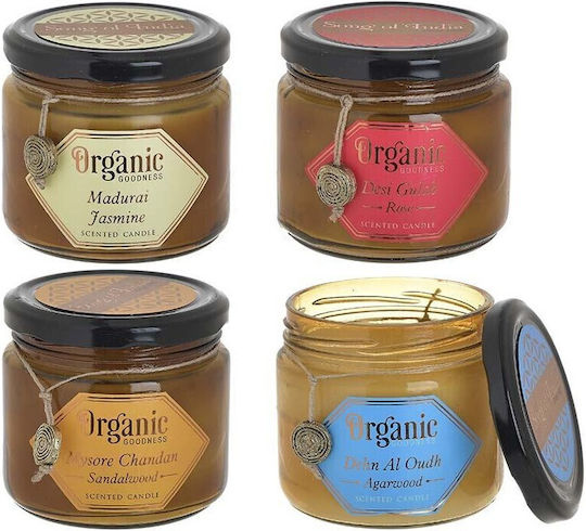 Inart Αρωματικό σε Βάζο Madurai Jasmine
