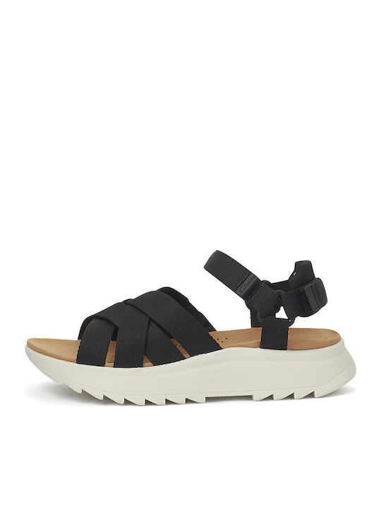 Clarks