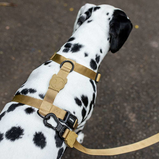 Zee-Dog Dog Leash/Lead Strap in Beige color 1.2m