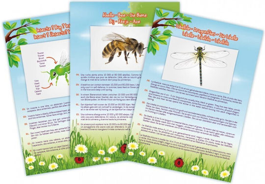 Buki Bug Vacuum Joc Educațional de Cunoștințe pentru 6+ ani Ani