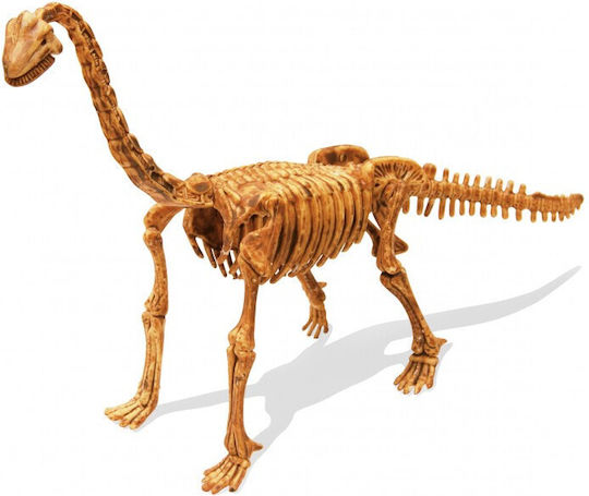 Buki DinoKit Brachiosaurus Educational Game Dinosaur Excavation for 8+ years old Years Old