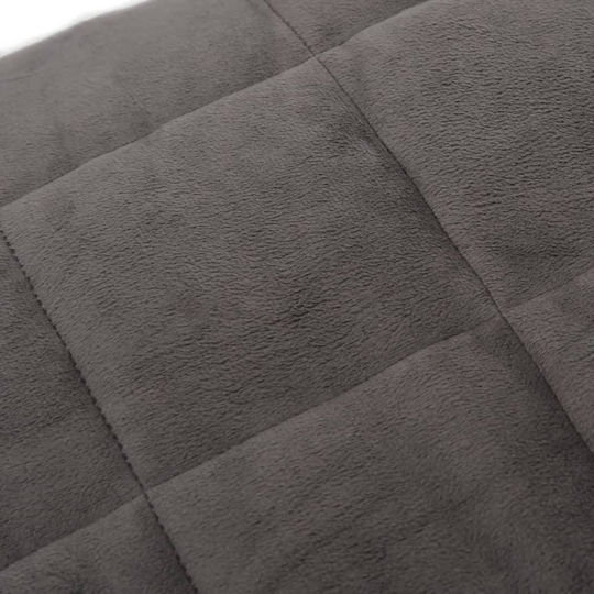 vidaXL Pătură Cu Greutate Dublă Catifea 200x200cm Gri