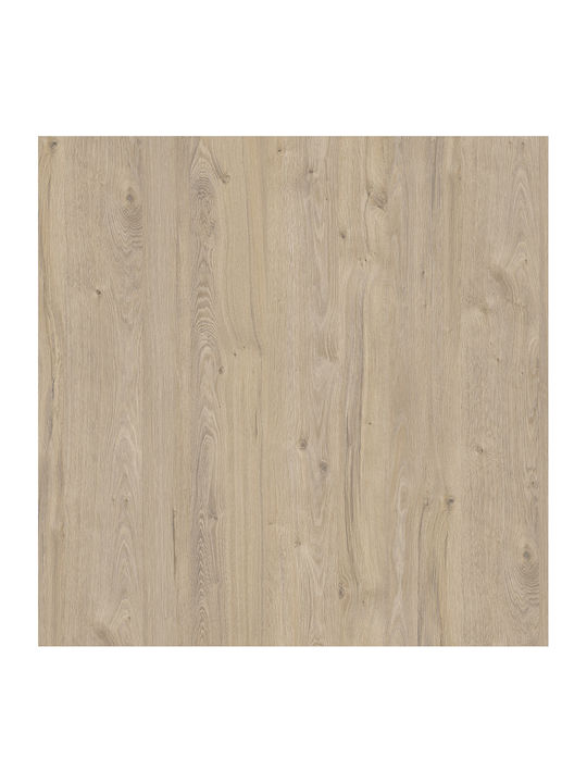Martin Omega 60 Rectangular Bathroom Mirror made of Particle Board with Cabinet 60x65cm