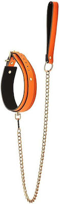 Dream Toys Collar & Leash Orange