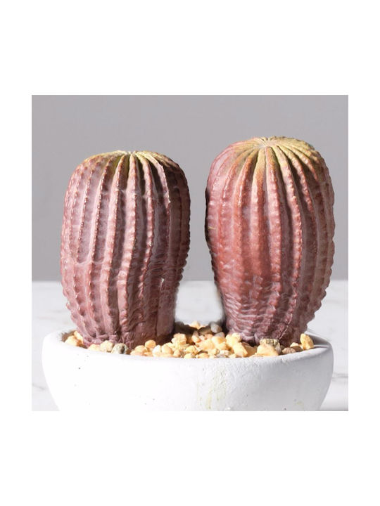 Supergreens Artificial Plant in Small Pot Cactus Coffee 10cm 1pcs