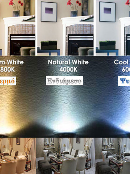 Adeleq Χελώνα LED 2.4W Adeleq Χελώνα LED 2.4W