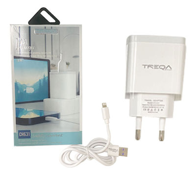 Treqa Ladegerät mit 2 USB-A Anschlüsse und Kabel Micro-USB Weißs (CH-631)